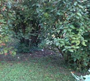 Botanischer Garten