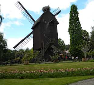 Windmühle mit Storchennest