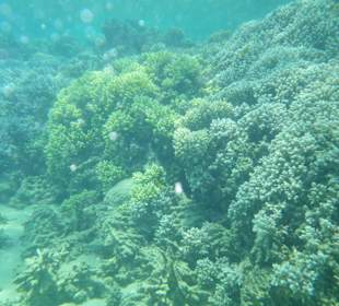 Unterwasser - Hotel Premier Le rêve