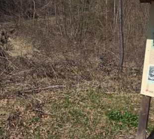 Geologischer Lehrpfad Kirnbachtal