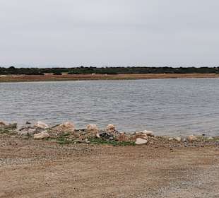 Wandern Didim
