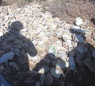 Fahrradausflug in die Wüste