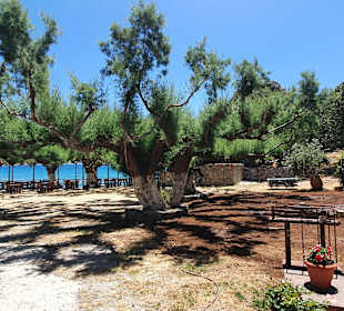 Inselrundfahrt Kreta