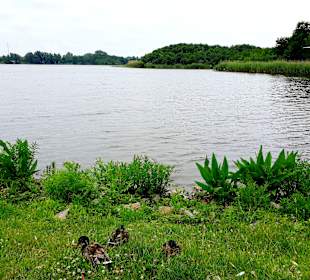 Wandern Bansin am See