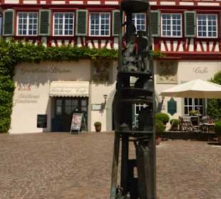 Schneeballsäule am Löwenplatz