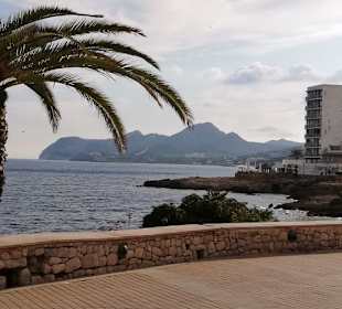 Blick vom Hafen zur Promenade