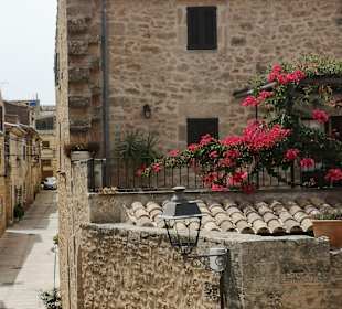 Wandern Can Picafort