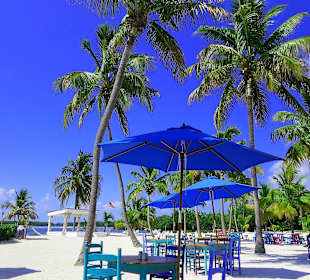 Feiner Sand, haushohe Palmen, Meer