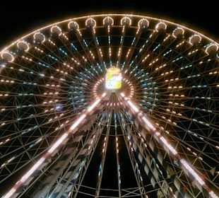 Rummel, Vergnügen 2011