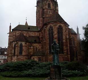 Altstadt Wissembourg in Wissembourg