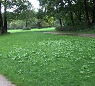 Englischer Garten