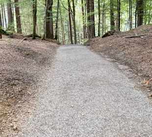 Viele mit E-Bike unterwegs