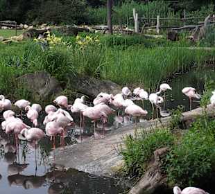 Zoo Leipzig