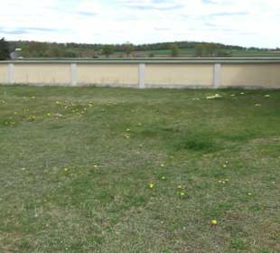 Friedhiof Kleinerdlingen