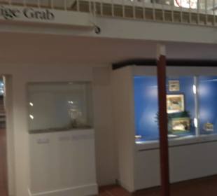 Altes Schloss Schleißheim