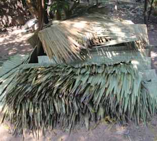 Bananenblätter zum Verbauen