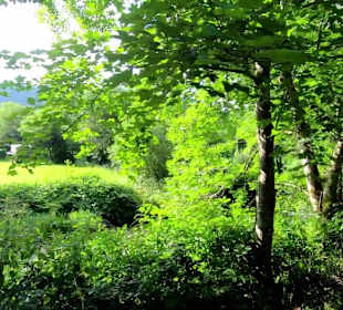 Wandern Schenkenzell