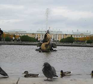 Park Dolny Peterhof