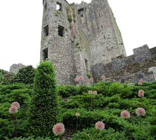  Blarney Castle