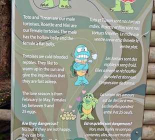 Chamarel siebenfarbige Erde - leider ohne Sonne - Schildkröt