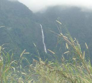 Ausflug Wildfife Expeditions- Rastplatz