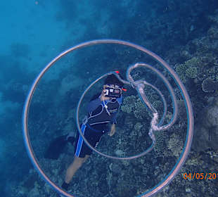 Mogli der Luftringmeister