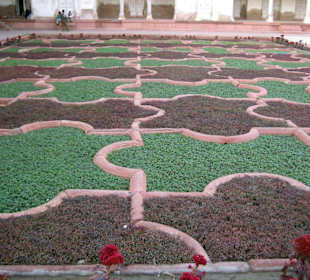 Schloßgarten im Roten Fort