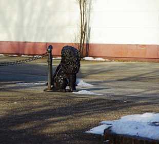 Tanzcafe und Moon Light Bar