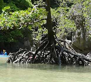Phangnga Bay Discovery