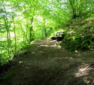 Wandern Schenkenzell