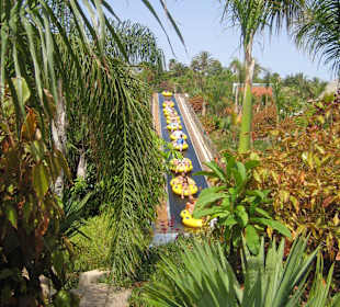 Siam Park