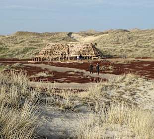 Amrum, Westseite, Strand- und Dünenbereich