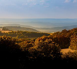 Wandern Geisfeld