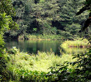 Impressionen vom Grand Etang