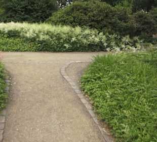 Mittelmeerterrassen - Alter Botaischer Garten