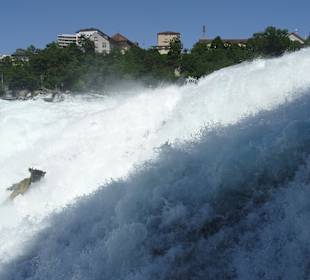 Am Rheinfall