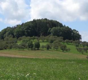 Hochgehnießen - Premiumspazierwanderweg