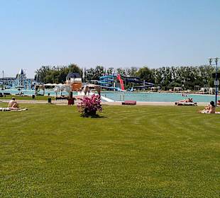 Complexul De Agrement Şi Sport Mureşul 