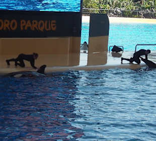 Loro Park