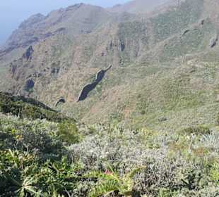 Mirador de Baracan in Buenavista del Norte