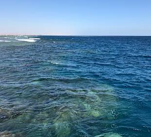 Das Hausriff vom Steg