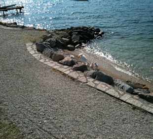 Gardasee