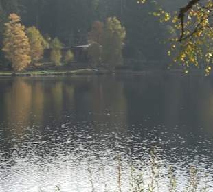 Windgfällweiher