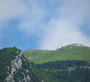 Oben gute Wanderungen möglich