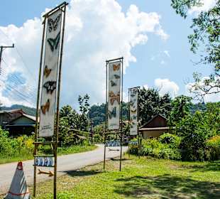 Eingang zum Butterfly Park