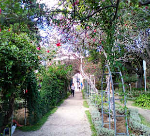 Sehr schöne Sehenswürdigkeit in Tavira