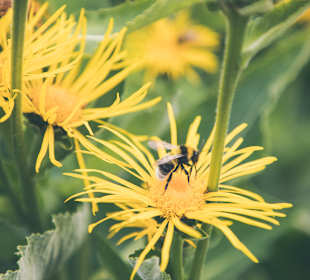 Wandern Luson / Lüsen