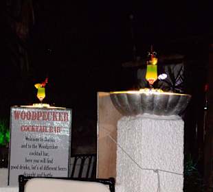 Bar" Woodpecker"