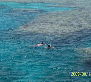 Schnorchelausflug nach Mangrove Bay