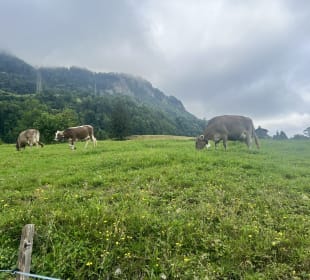 Sonstiges